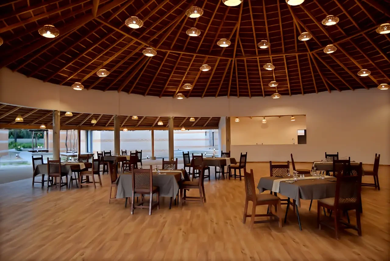 Photo 8 — King Baobab Lodge